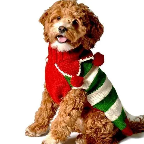 Christmas Elf Holiday Dog Sweater