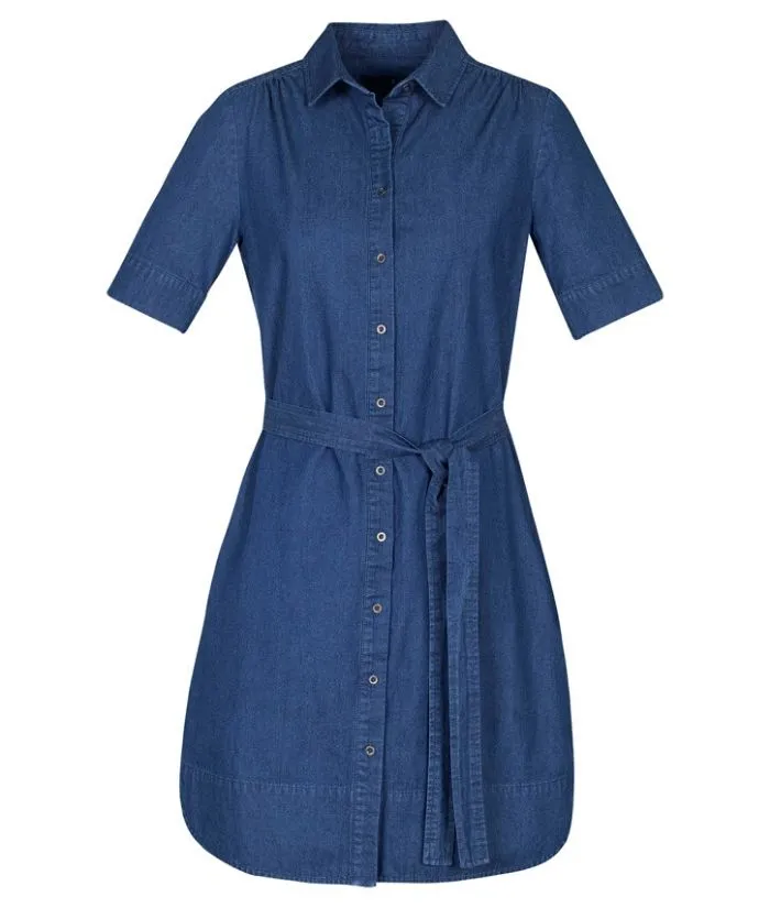 Delta Denim Dress